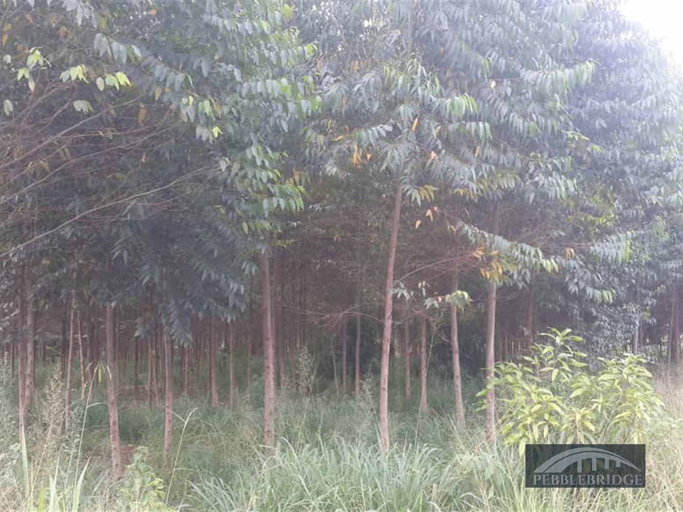 Multipurpose Land for sale in Kawanga Wakiso