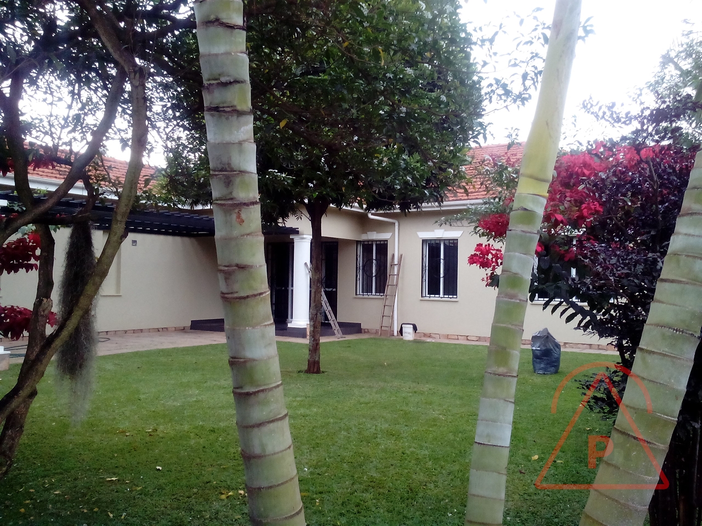 Bungalow for rent in Naguru Kampala