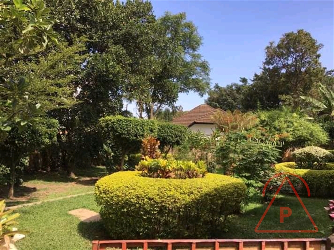 Bungalow for rent in Muyenga Kampala