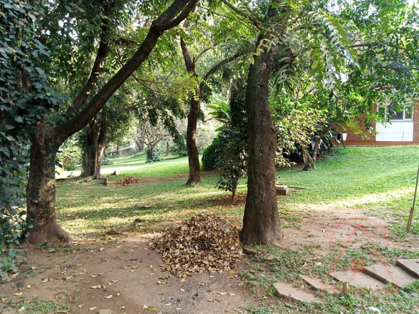 Bungalow for rent in Nakasero Kampala