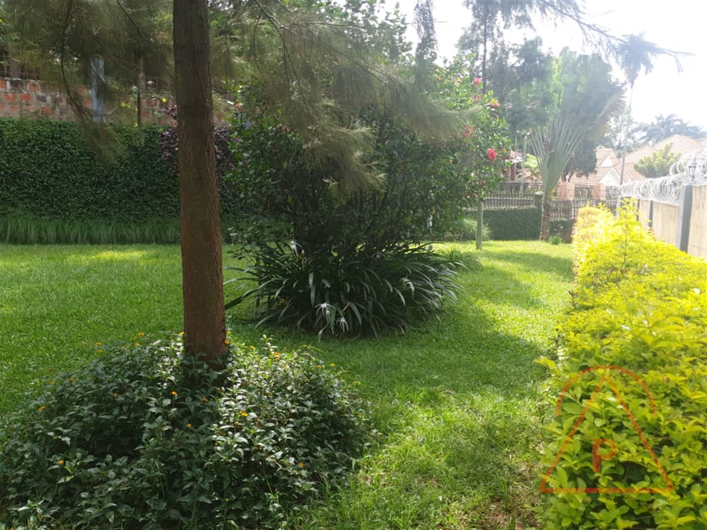 Mansion for rent in Naguru Kampala