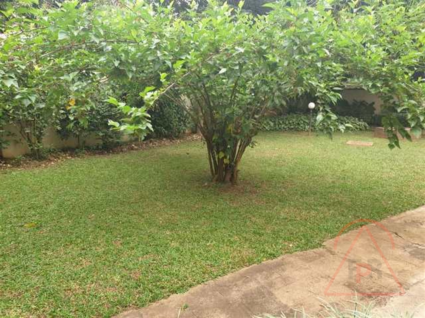 Bungalow for rent in Bugoloobi Kampala