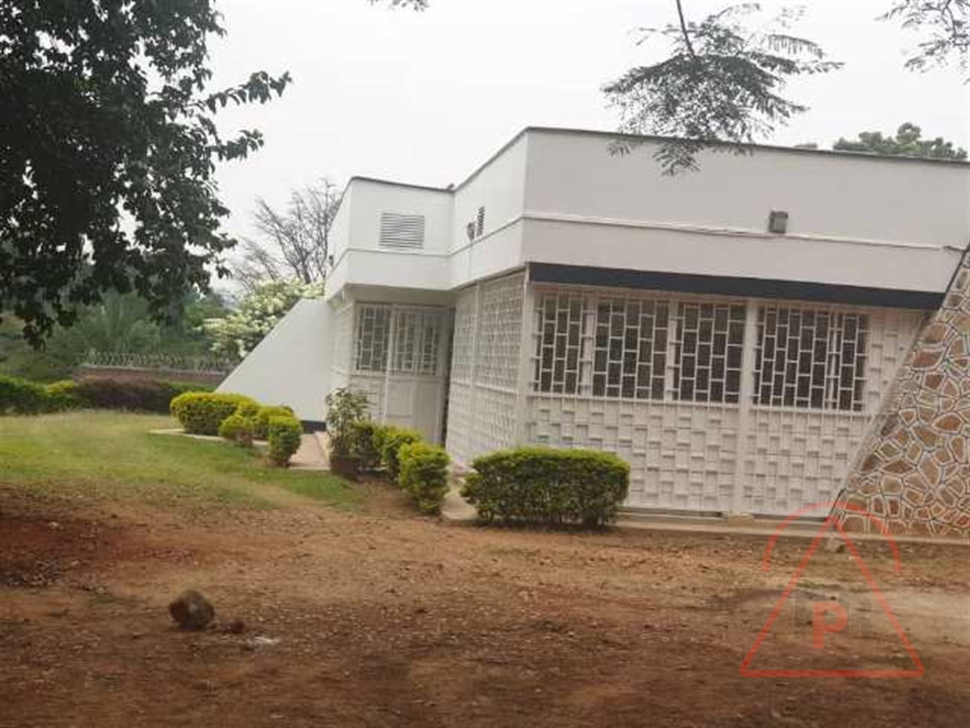 Bungalow for rent in Kololo Kampala