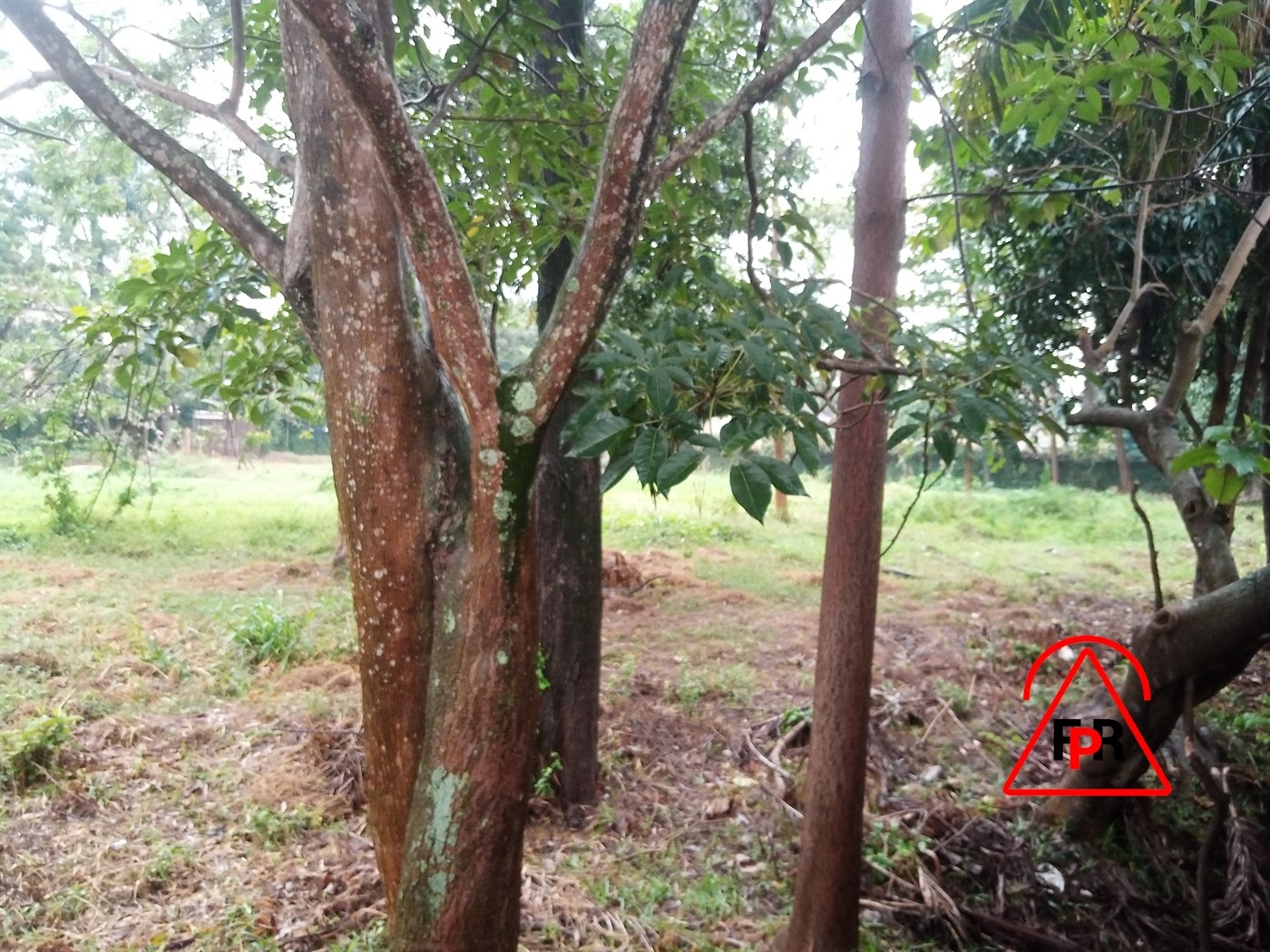 Residential Land for sale in Bugoloobi Kampala