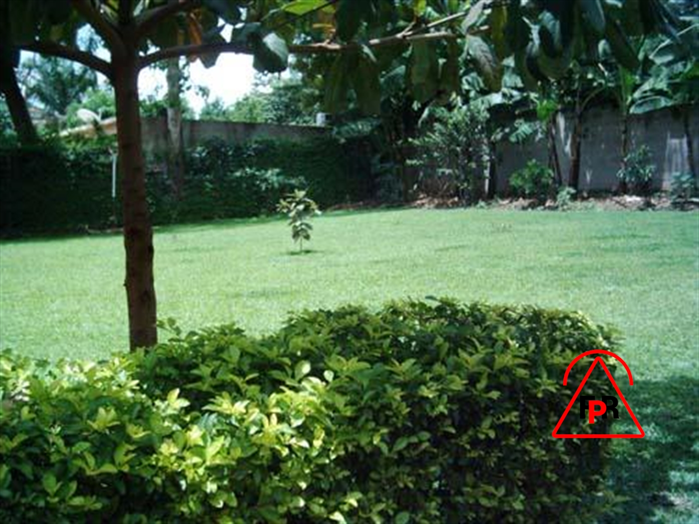 Bungalow for sale in Bugoloobi Kampala