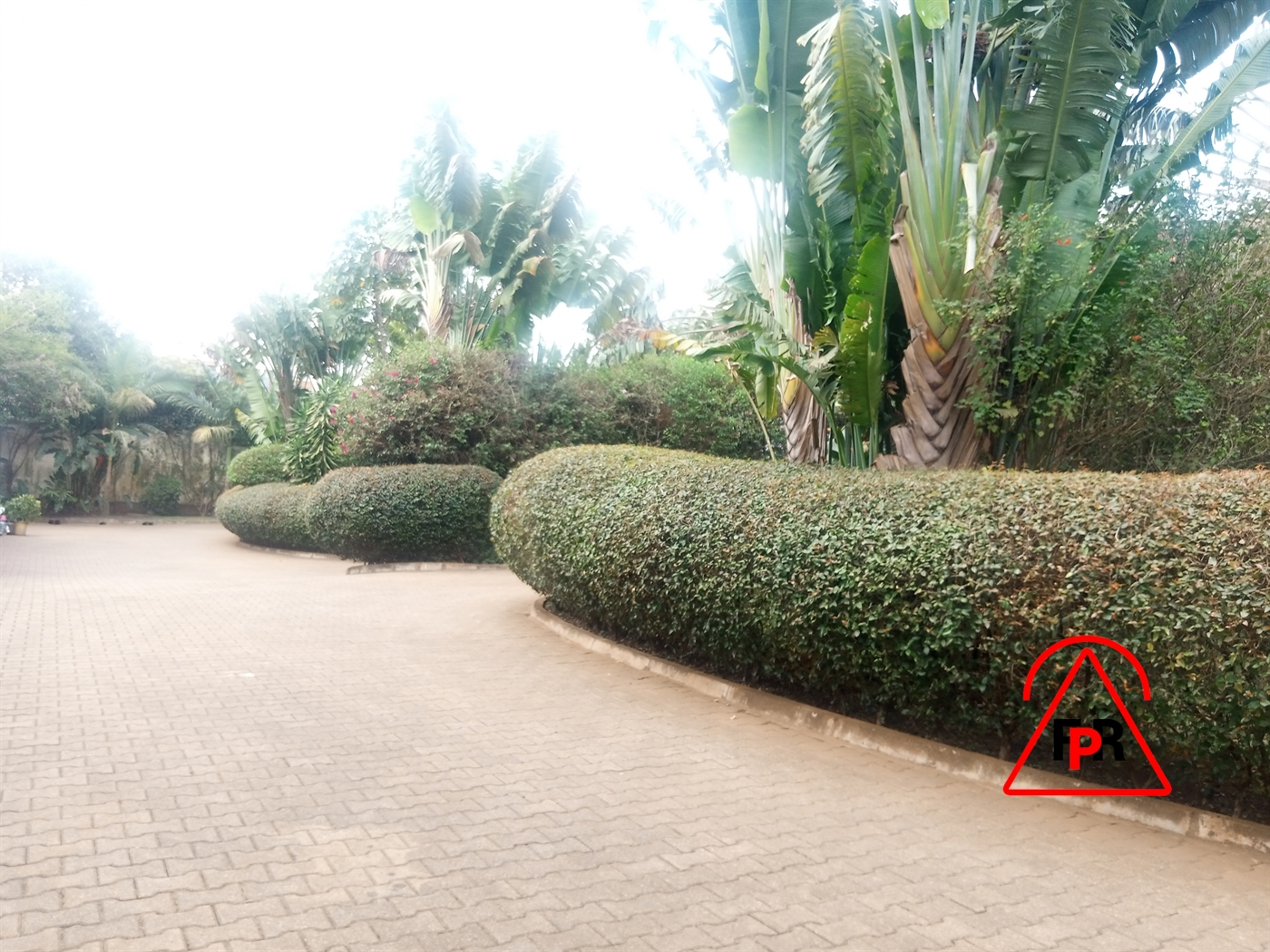 Villa for rent in Kololo Kampala