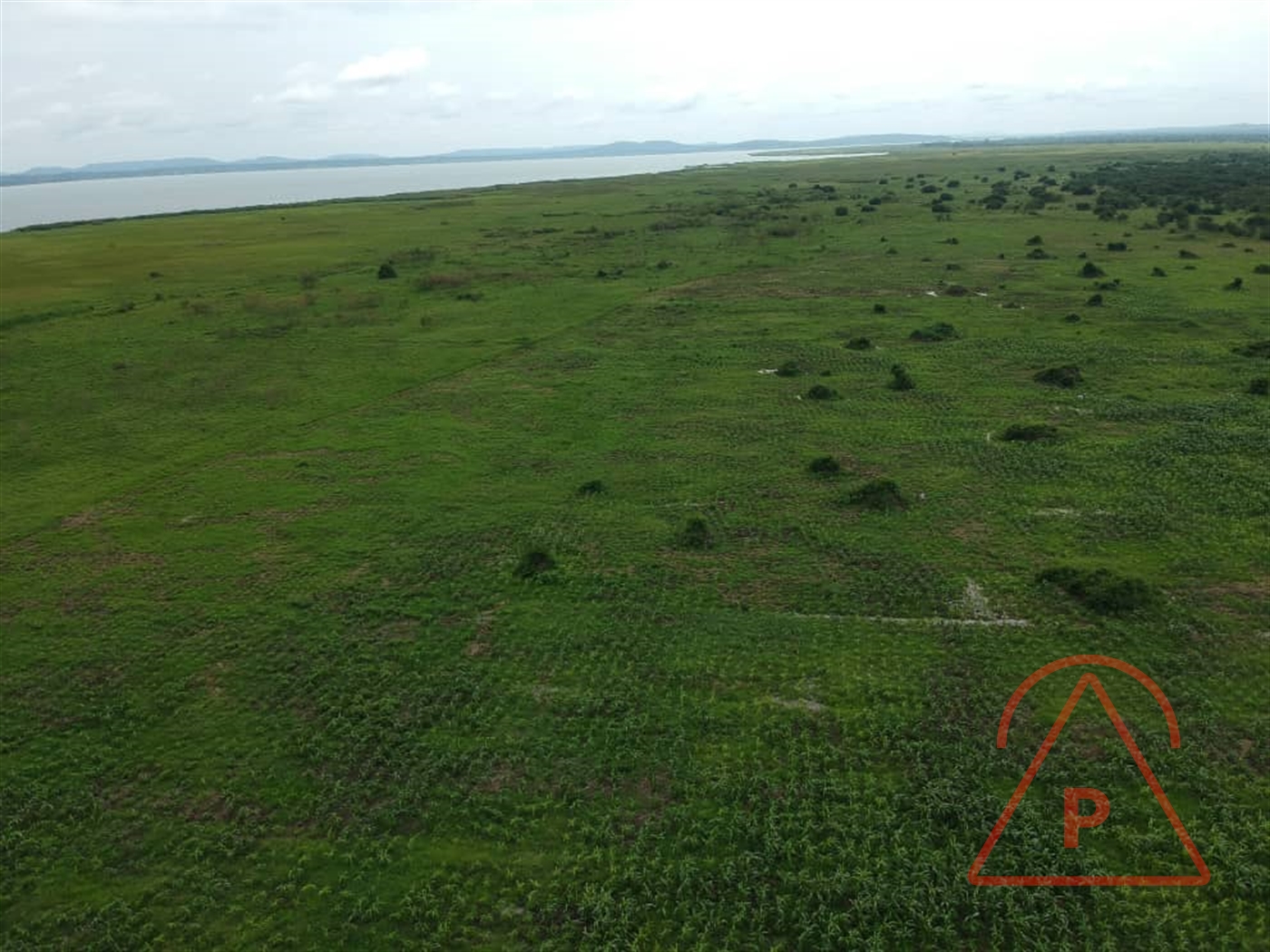 Agricultural Land for sale in Mityana Mityana