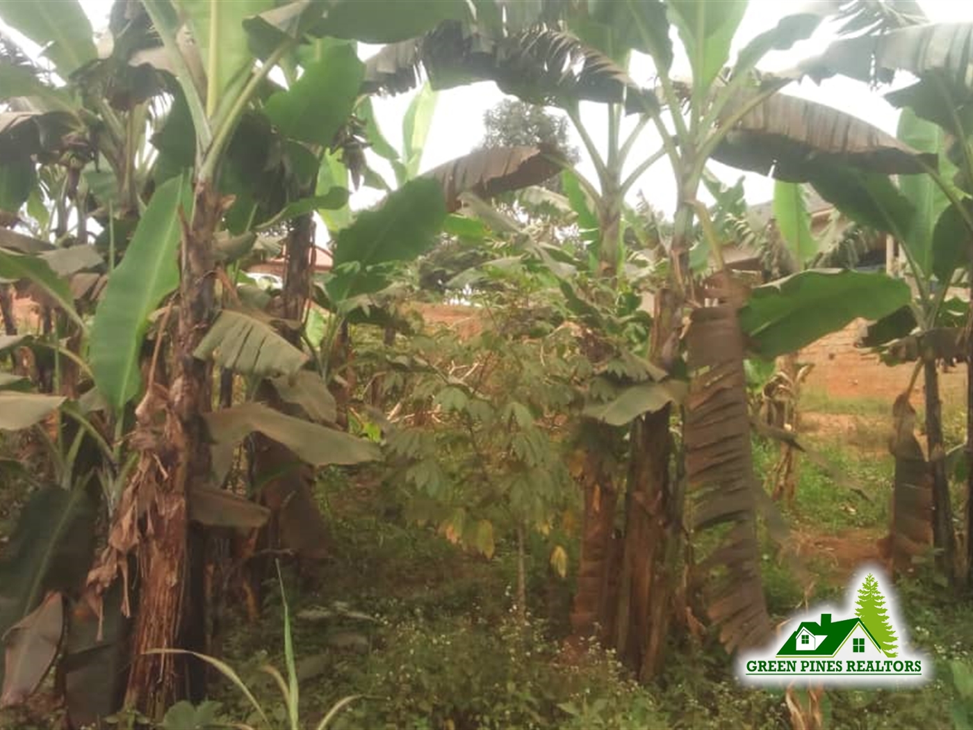 Agricultural Land for sale in Kasangati Wakiso