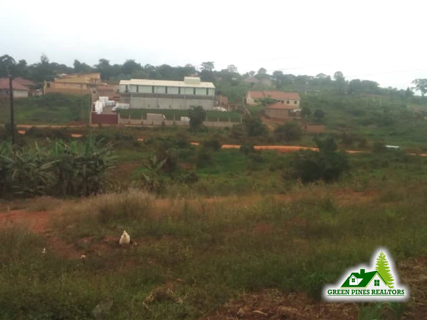 Agricultural Land for sale in Kasangati Wakiso