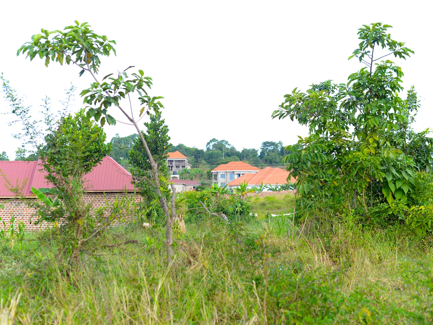 Residential Land for sale in Nsambwe Mukono