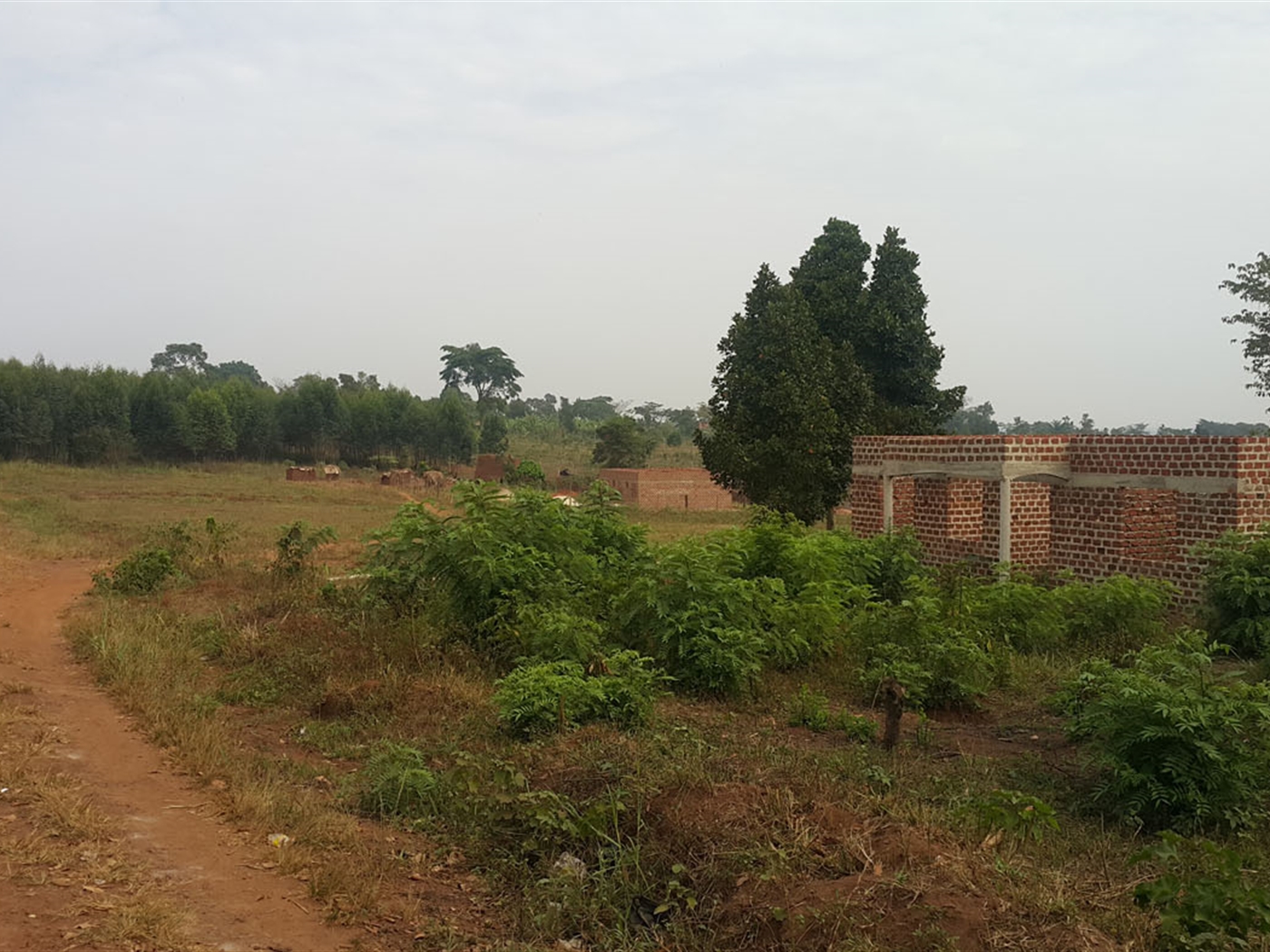 Residential Land for sale in Kiyunga Mukono