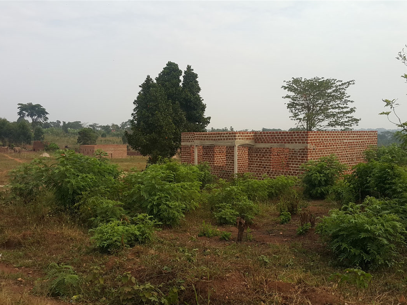 Residential Land for sale in Kiyunga Mukono