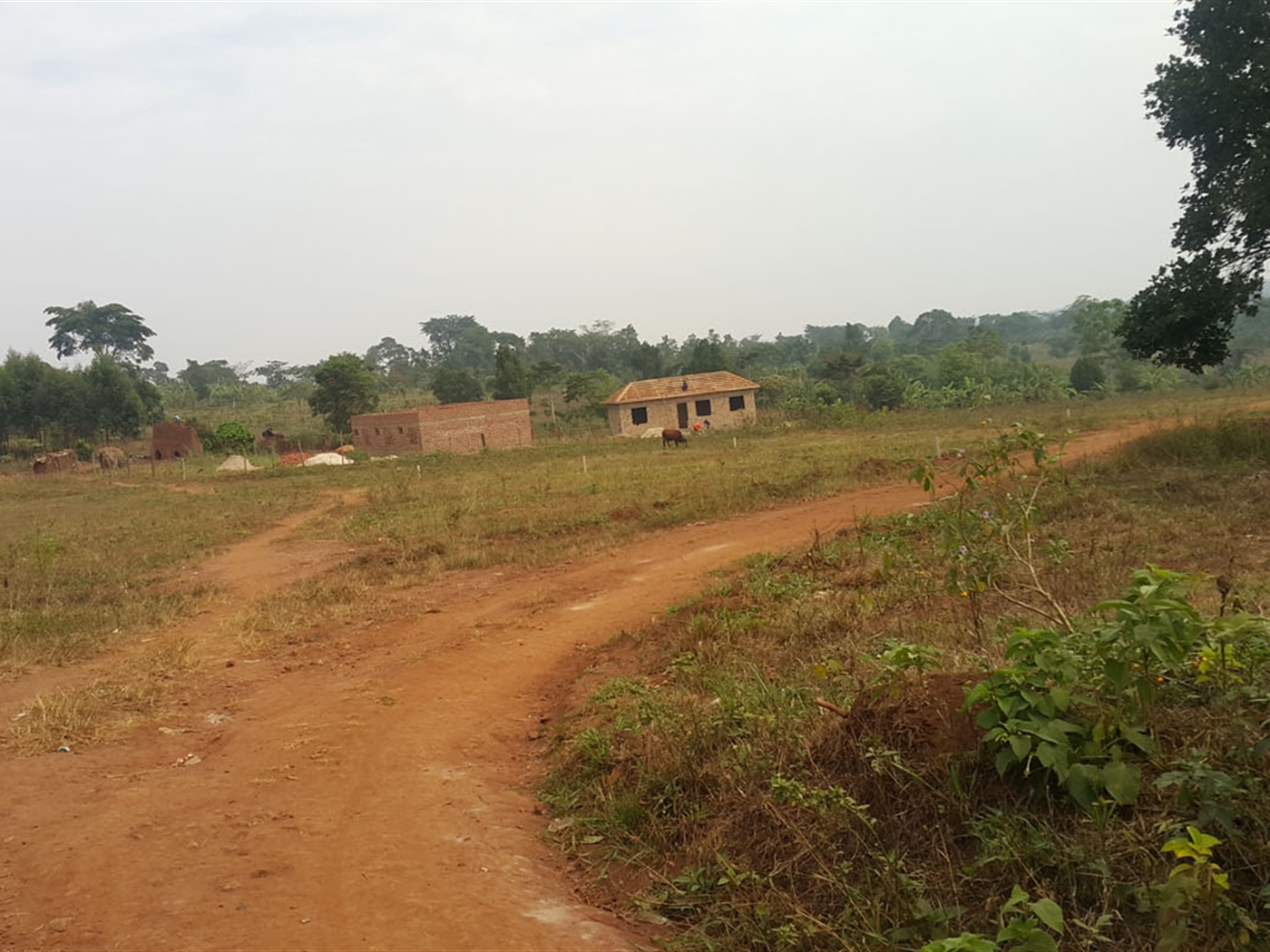 Residential Land for sale in Kiyunga Mukono