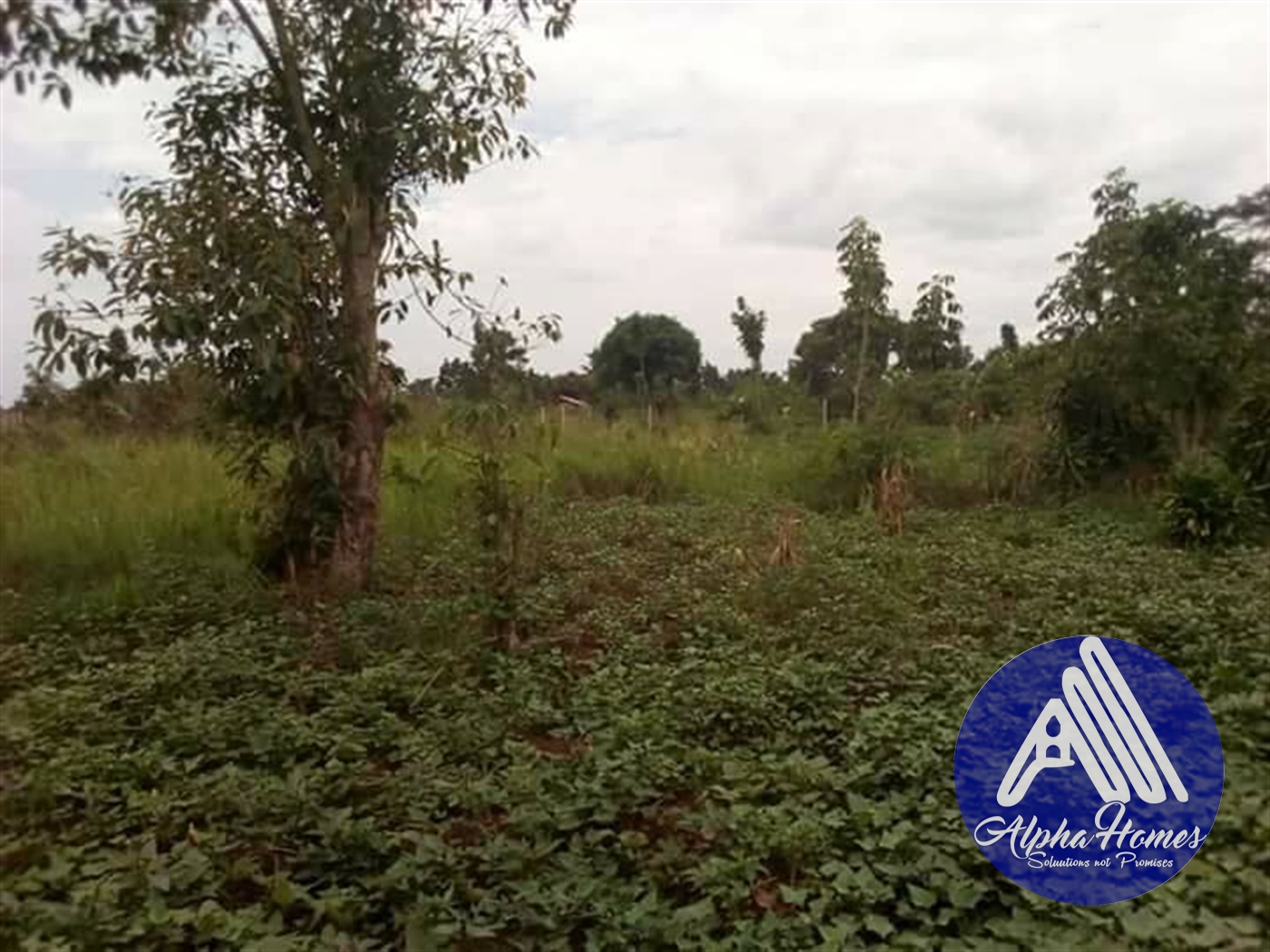 Bungalow for sale in Gayaza Wakiso