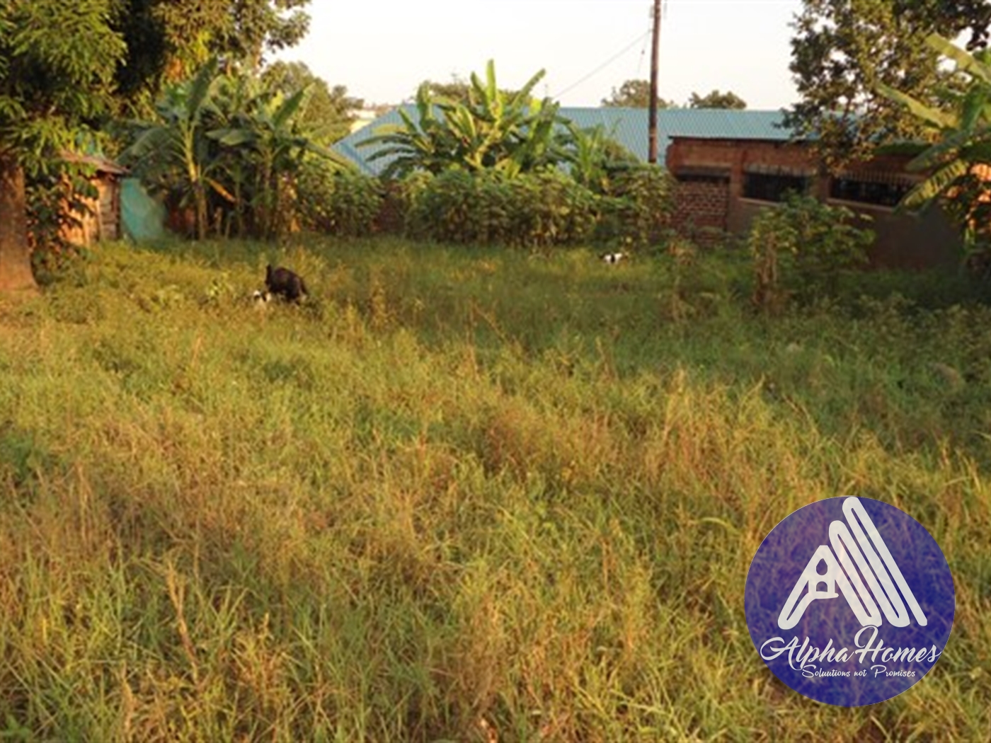 Residential Land for sale in Kiwaatule Kampala