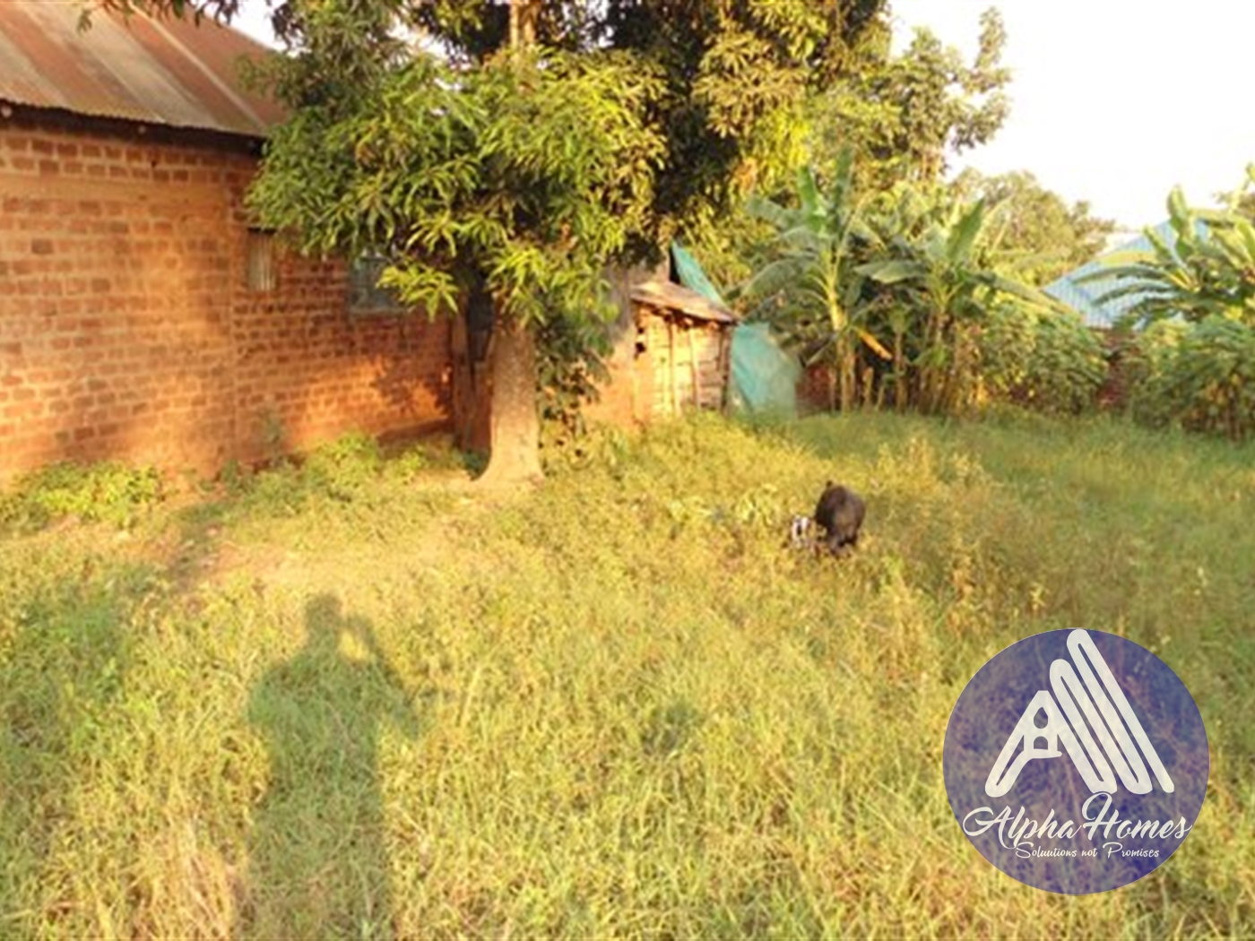 Residential Land for sale in Kiwaatule Kampala