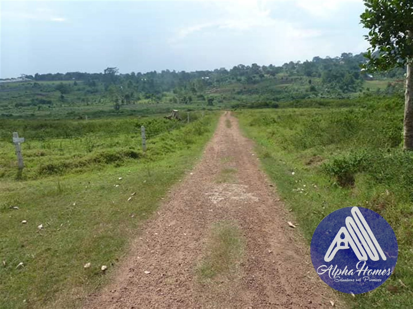 Residential Land for sale in Kyetume Mukono