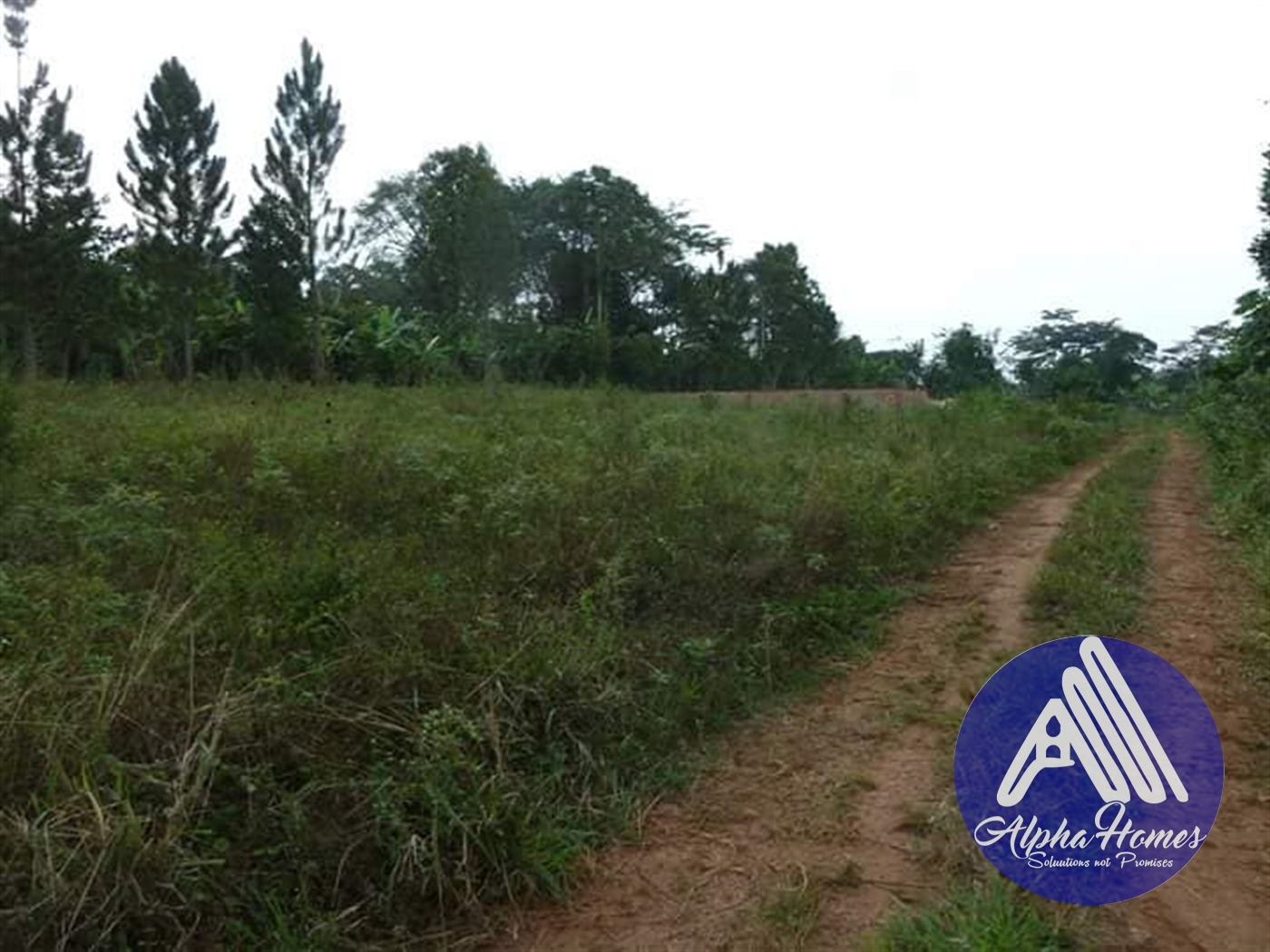 Residential Land for sale in Nsambwe Mukono