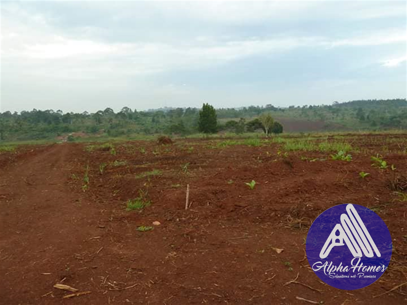 Residential Land for sale in Jjoggo Mukono