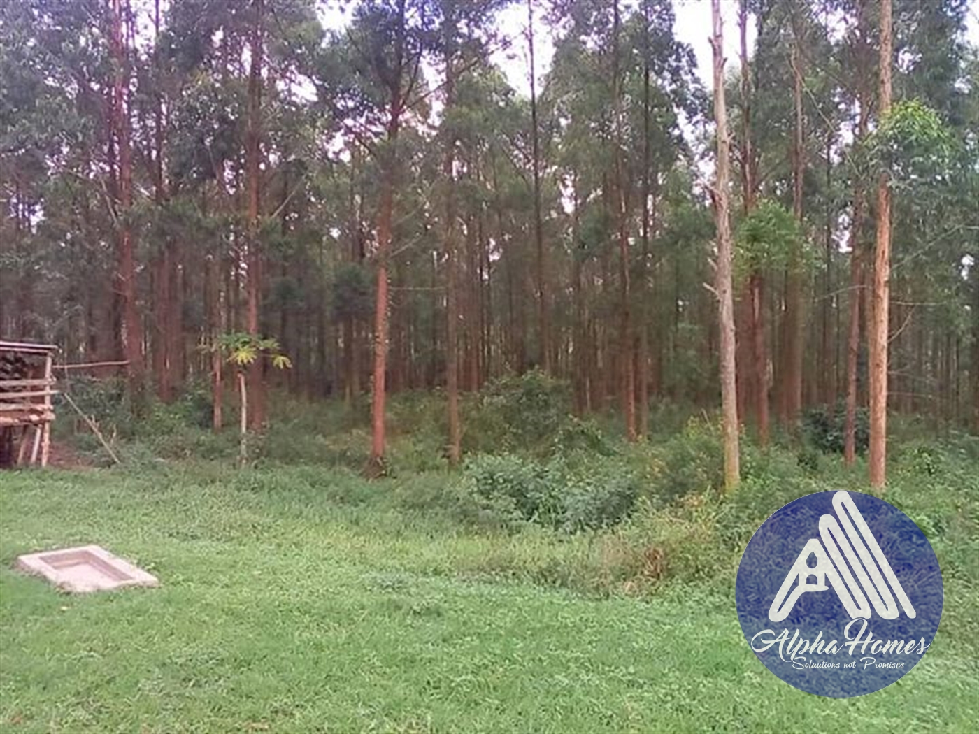 Agricultural Land for sale in Bukeelele Wakiso