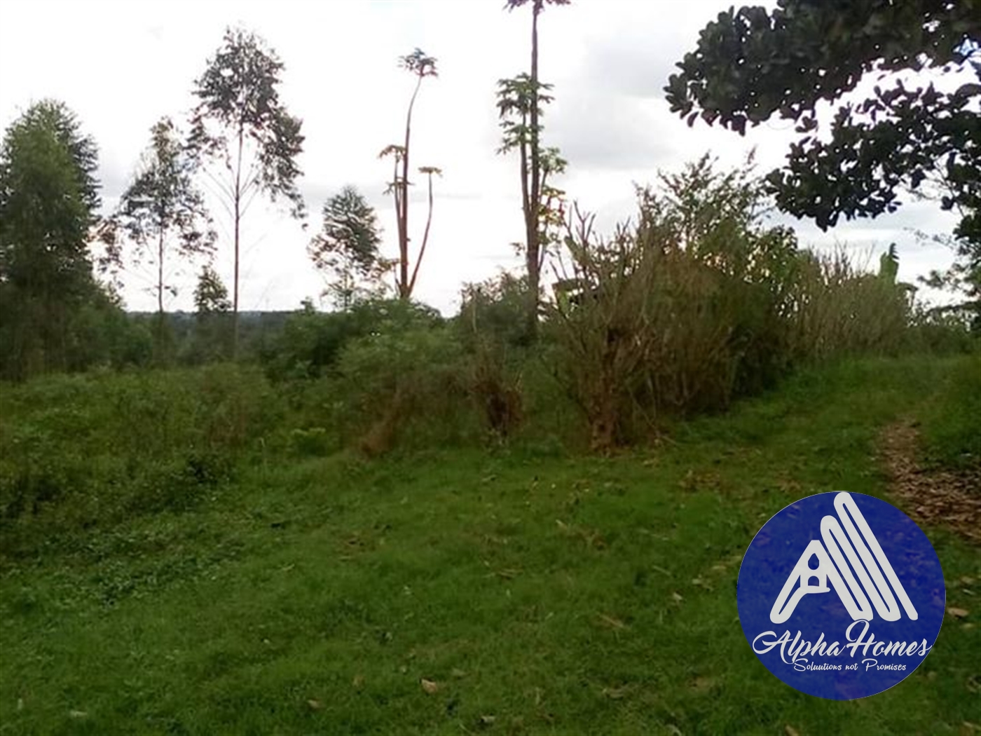 Agricultural Land for sale in Bukeelele Wakiso