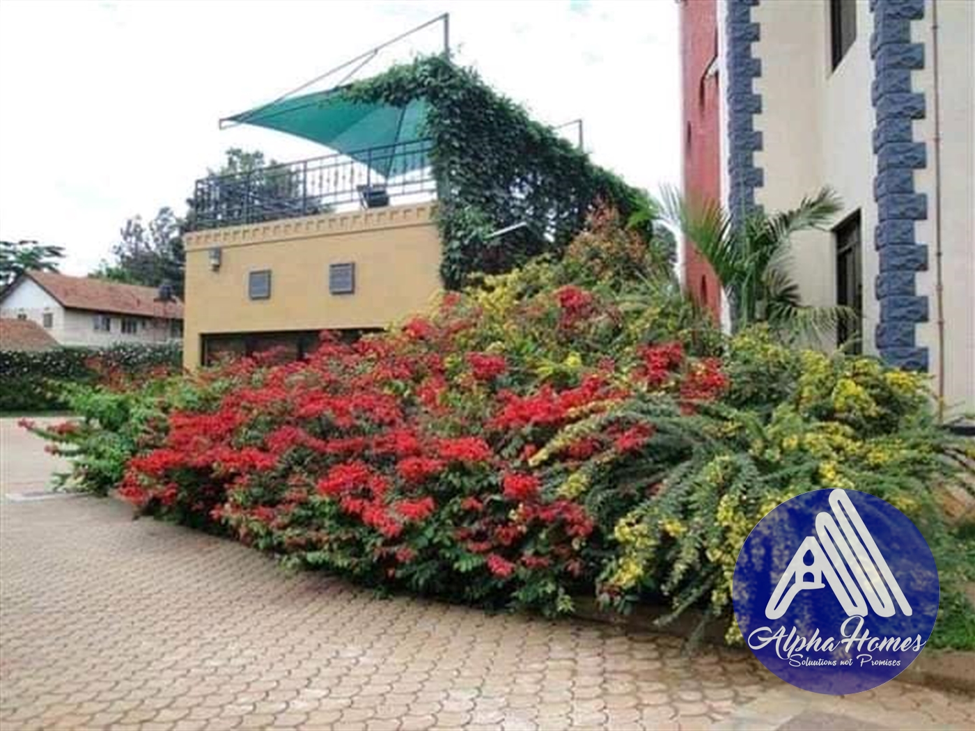 Apartment for rent in Bukoto Wakiso