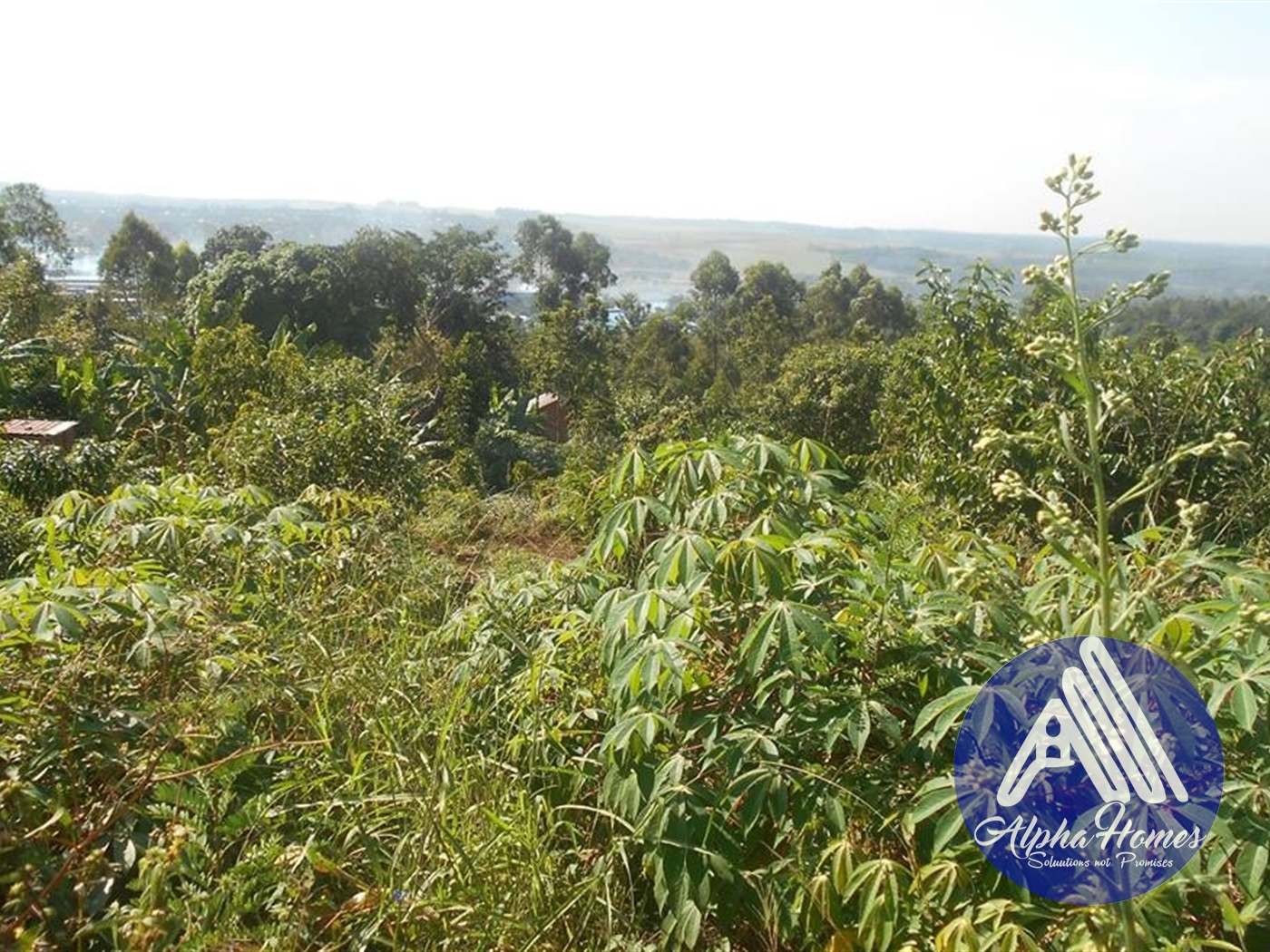 Agricultural Land for sale in Mbalala Mukono