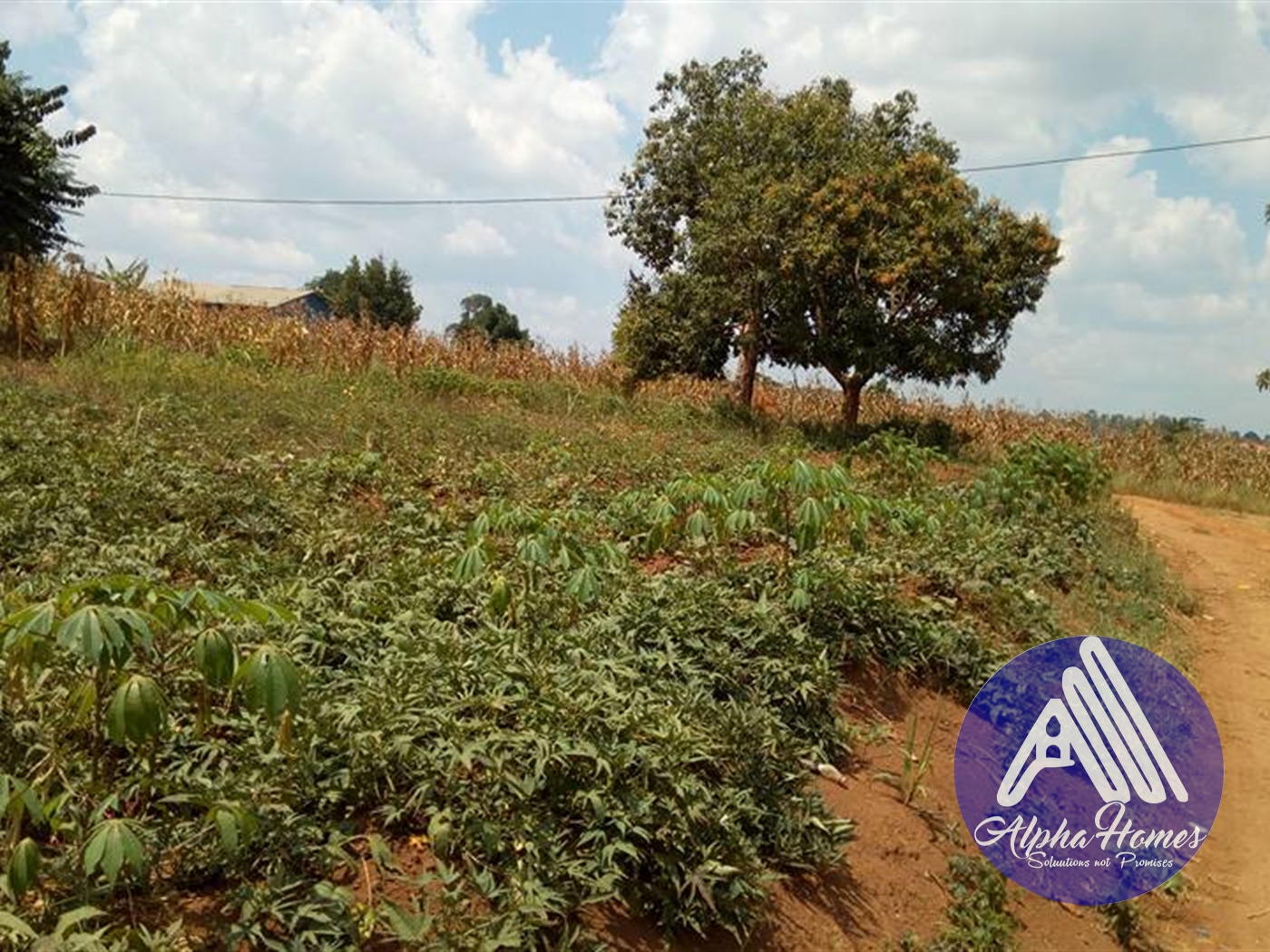 Commercial Land for sale in Namugongo Wakiso