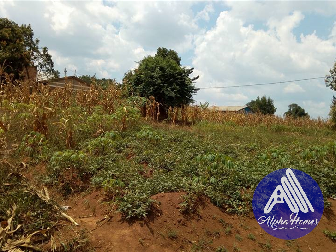 Commercial Land for sale in Namugongo Wakiso