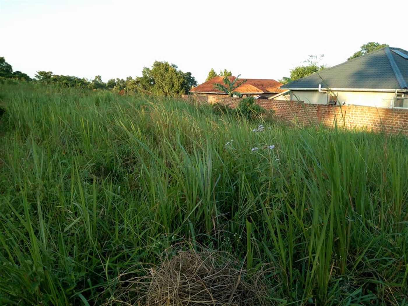 Residential Land for sale in Kisaasi Kampala