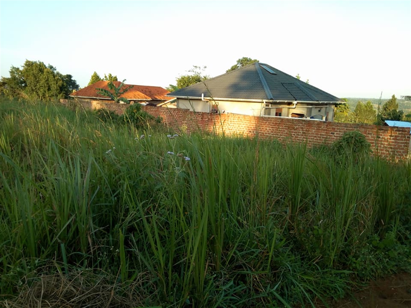 Residential Land for sale in Kisaasi Kampala