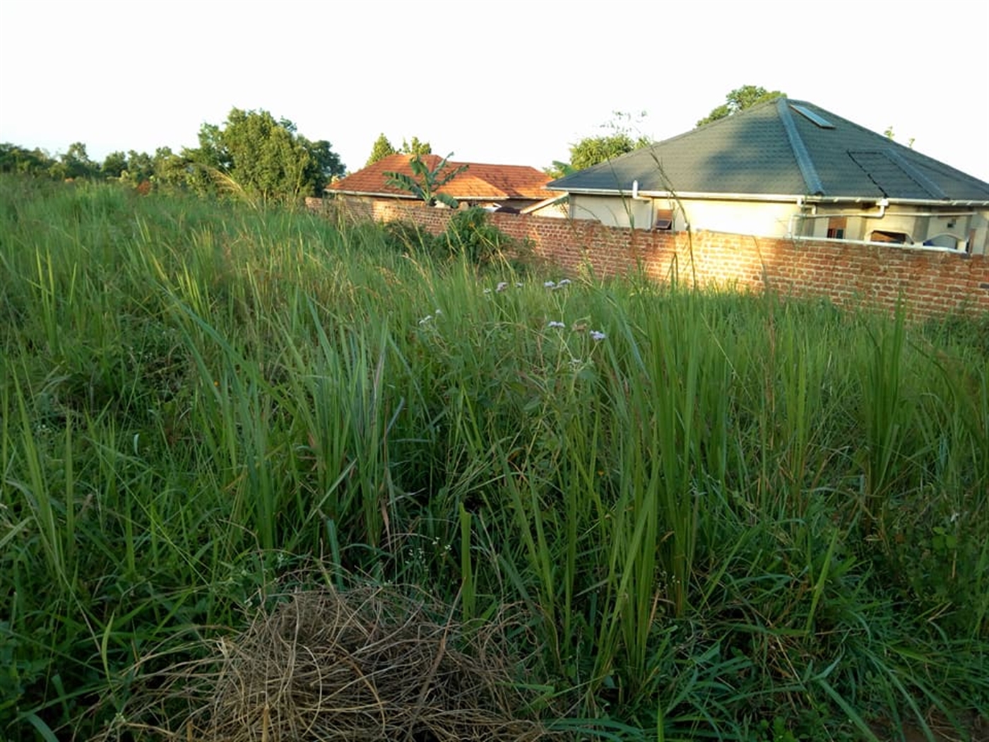 Residential Land for sale in Kisaasi Kampala