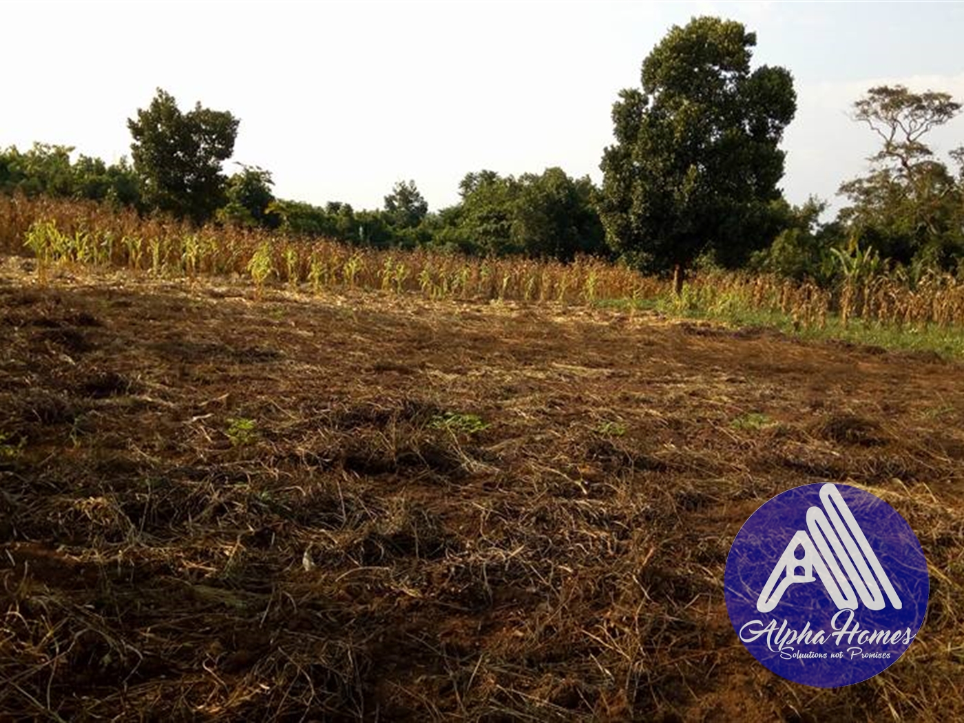 Agricultural Land for sale in Namugongo Wakiso