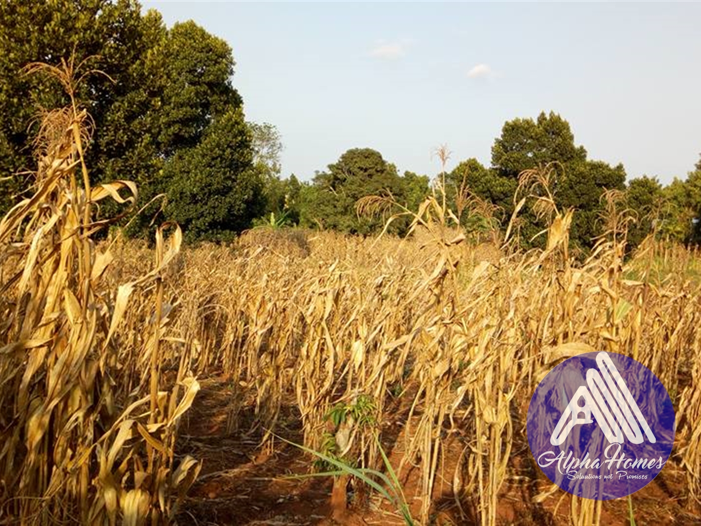 Agricultural Land for sale in Namugongo Wakiso