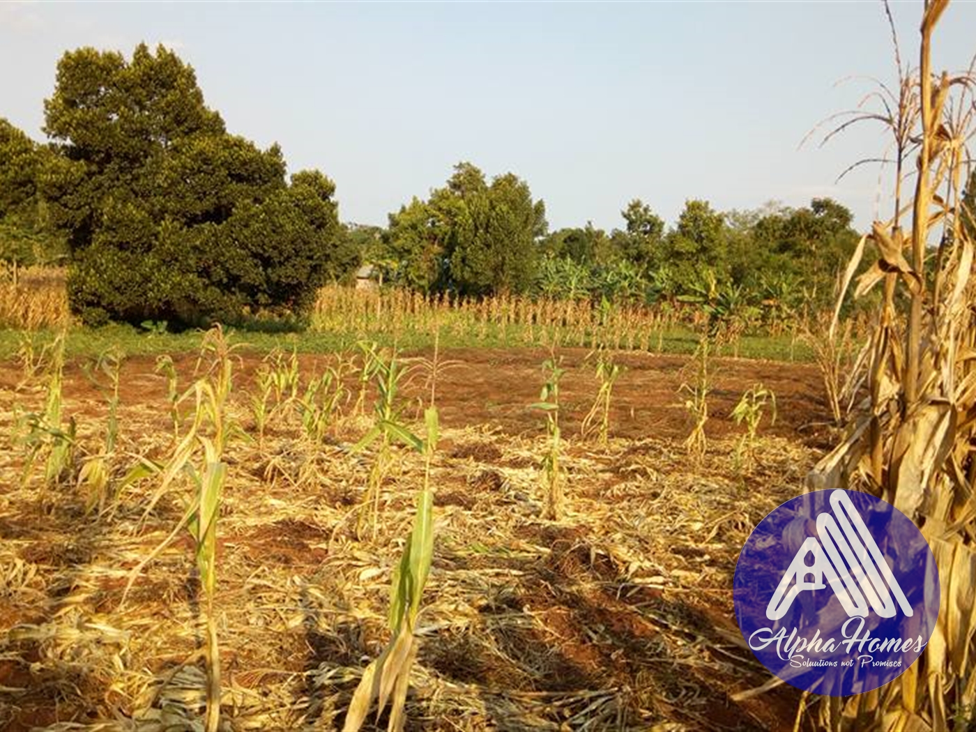 Agricultural Land for sale in Namugongo Wakiso