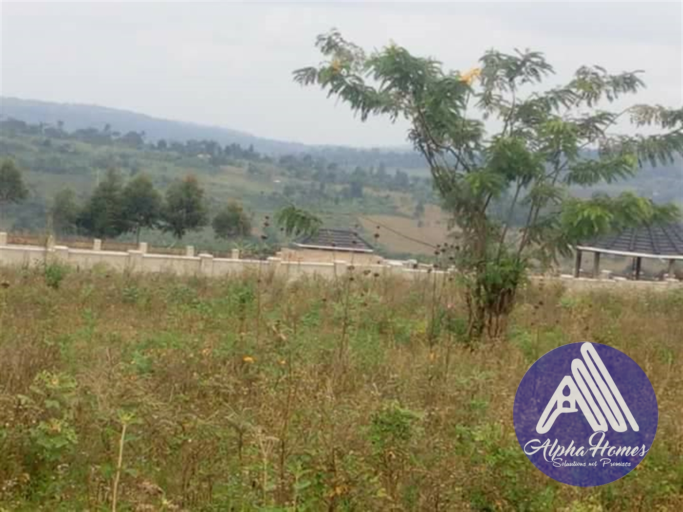 Agricultural Land for sale in Seeta Mukono