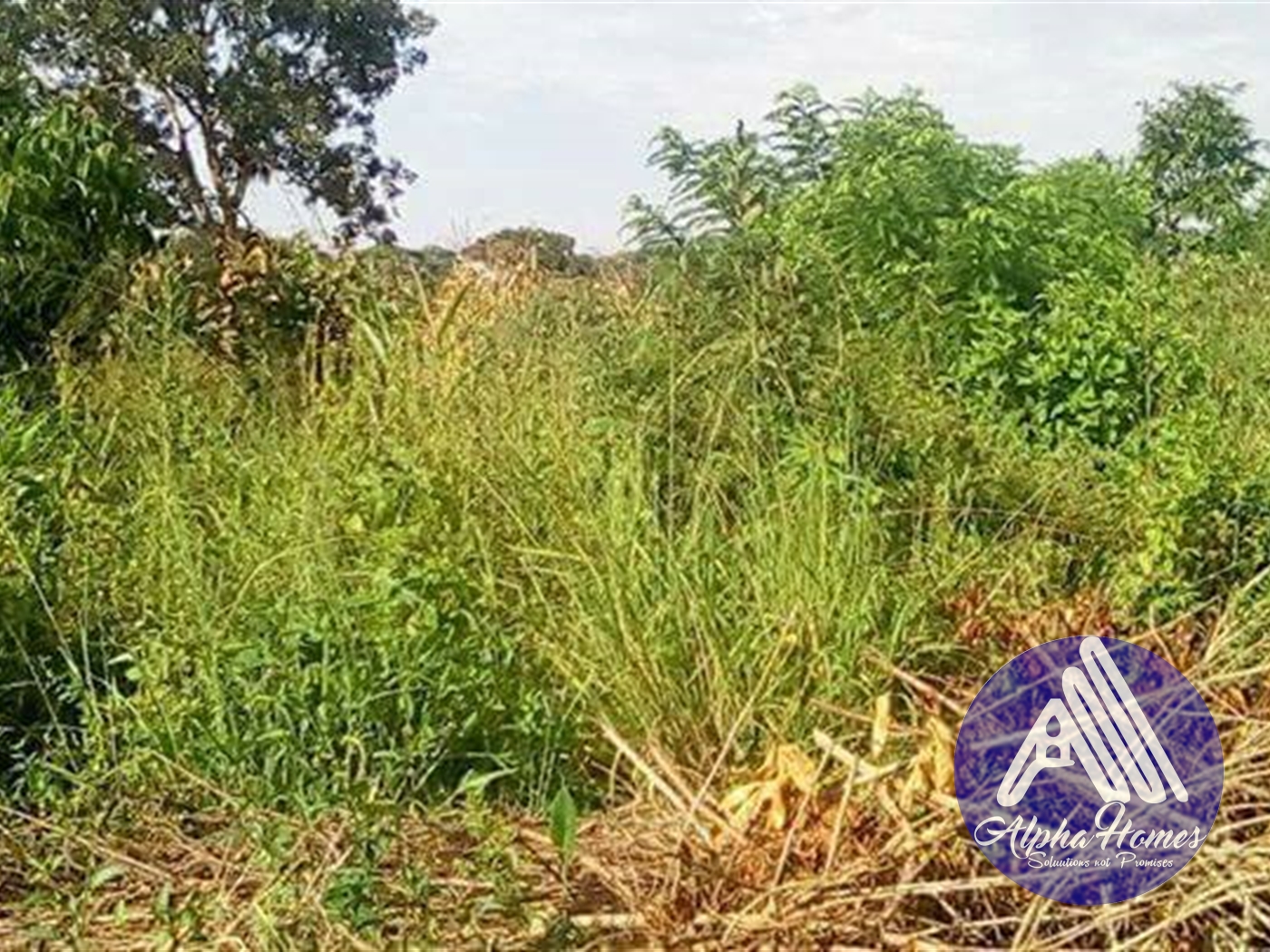 Agricultural Land for sale in Kakooge Luweero