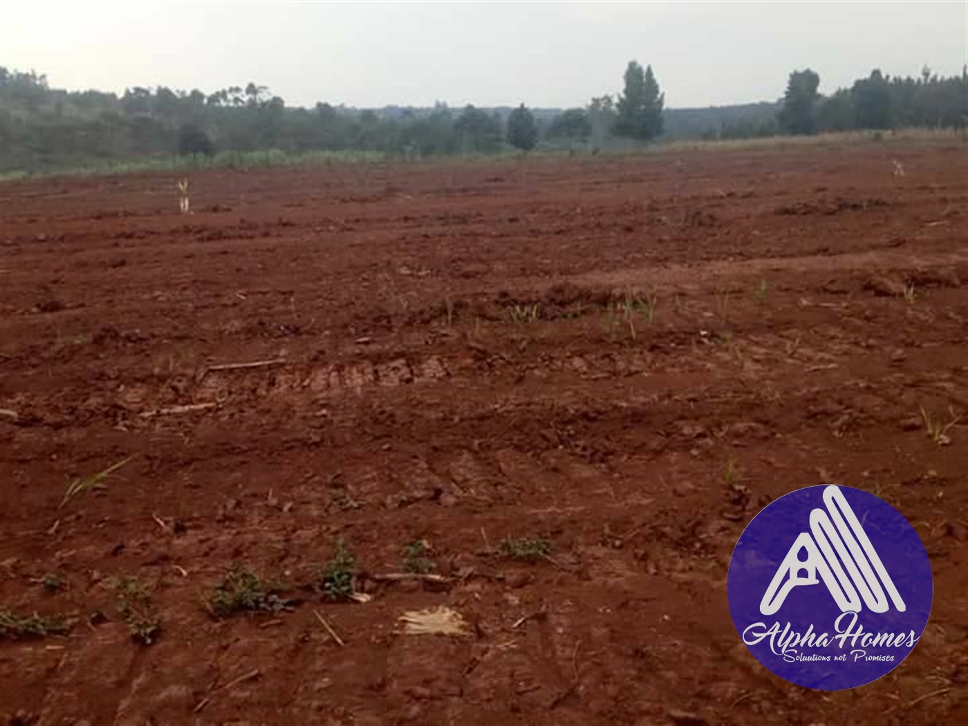 Residential Land for sale in Seeta Mukono