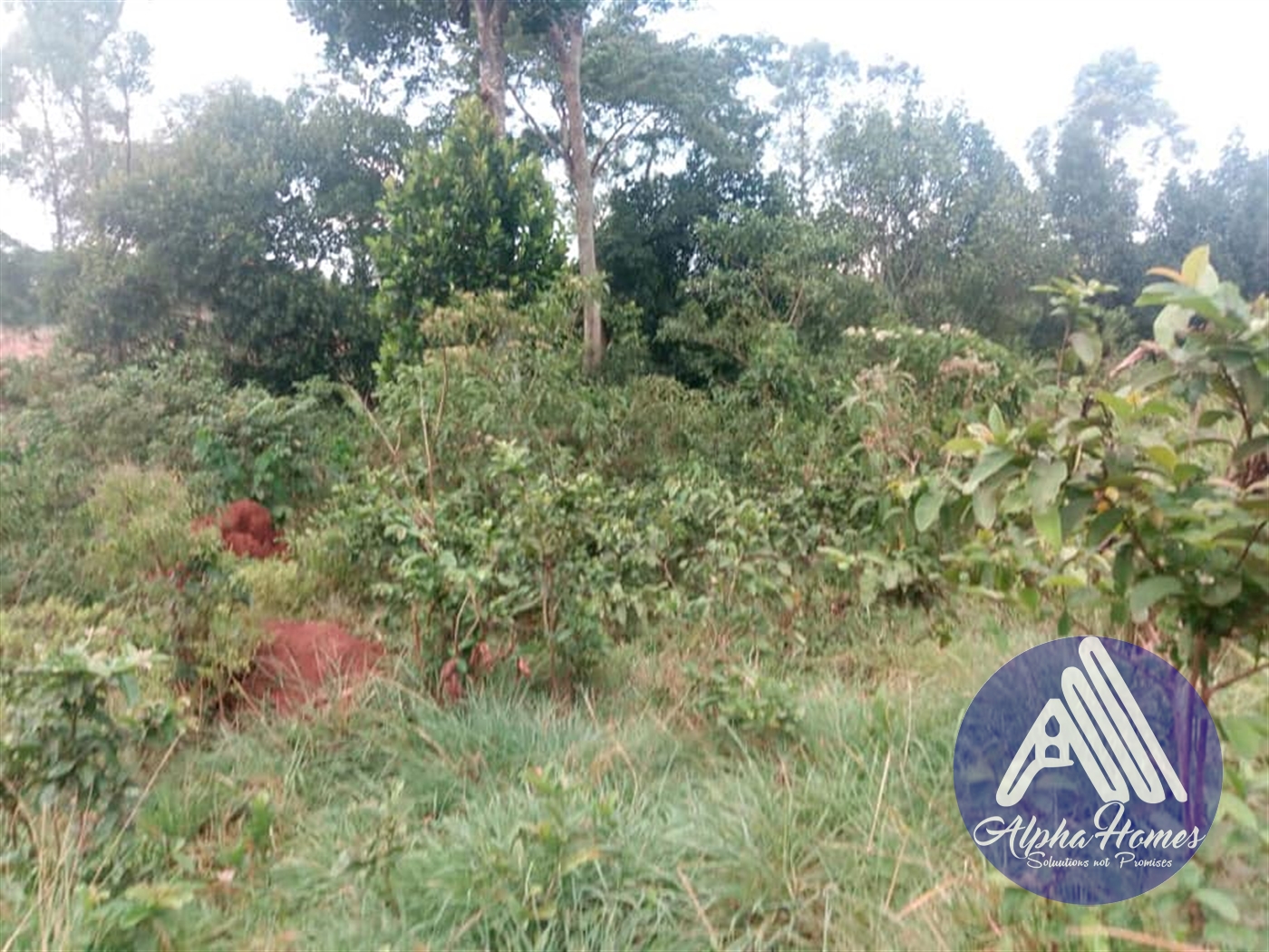 Residential Land for sale in Namugongo Wakiso