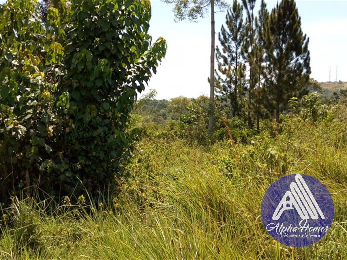 Residential Land for sale in Kisoga Mukono