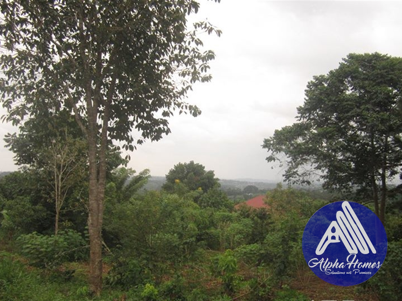 Residential Land for sale in Nakassajja Wakiso