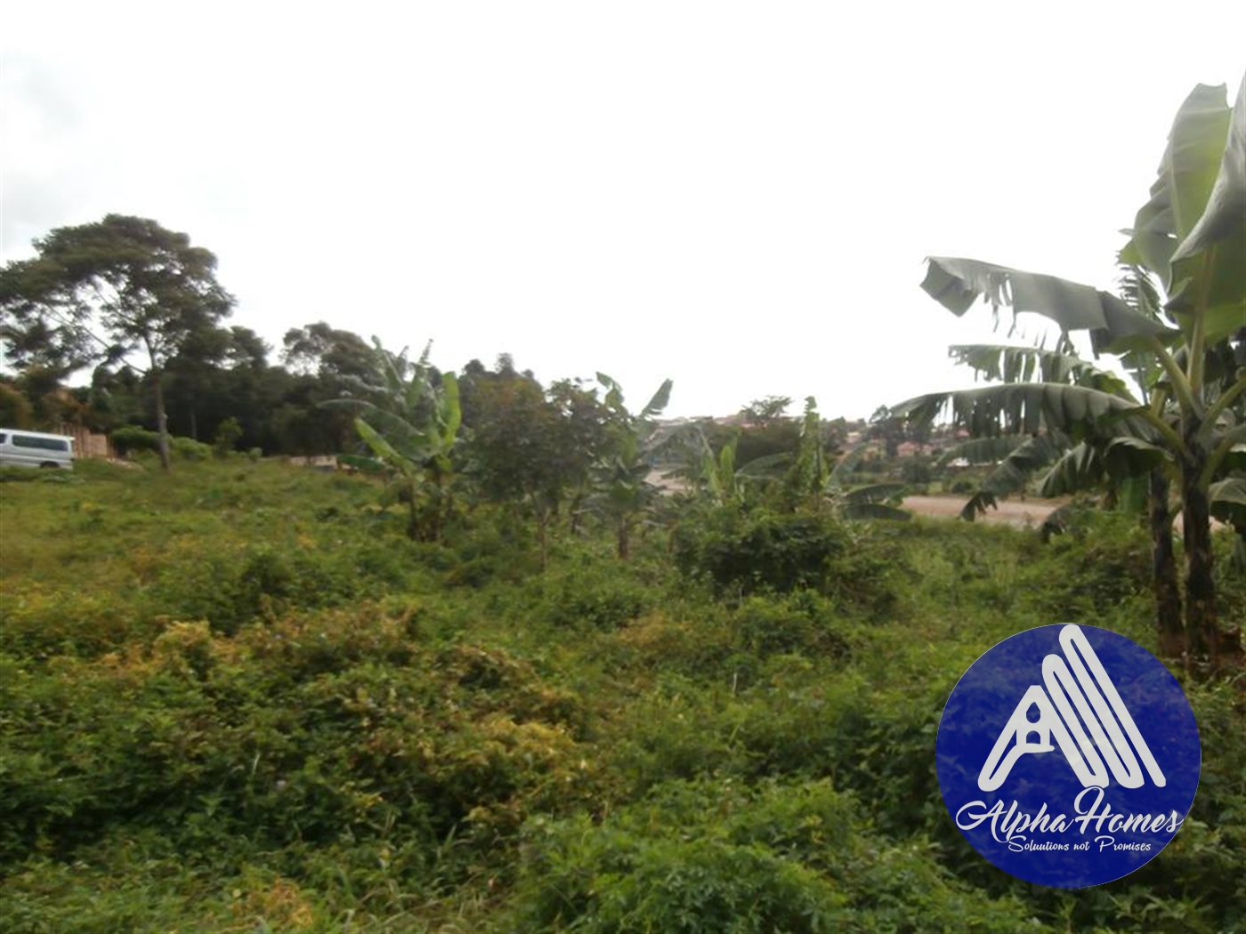 Agricultural Land for rent in Kireka Wakiso