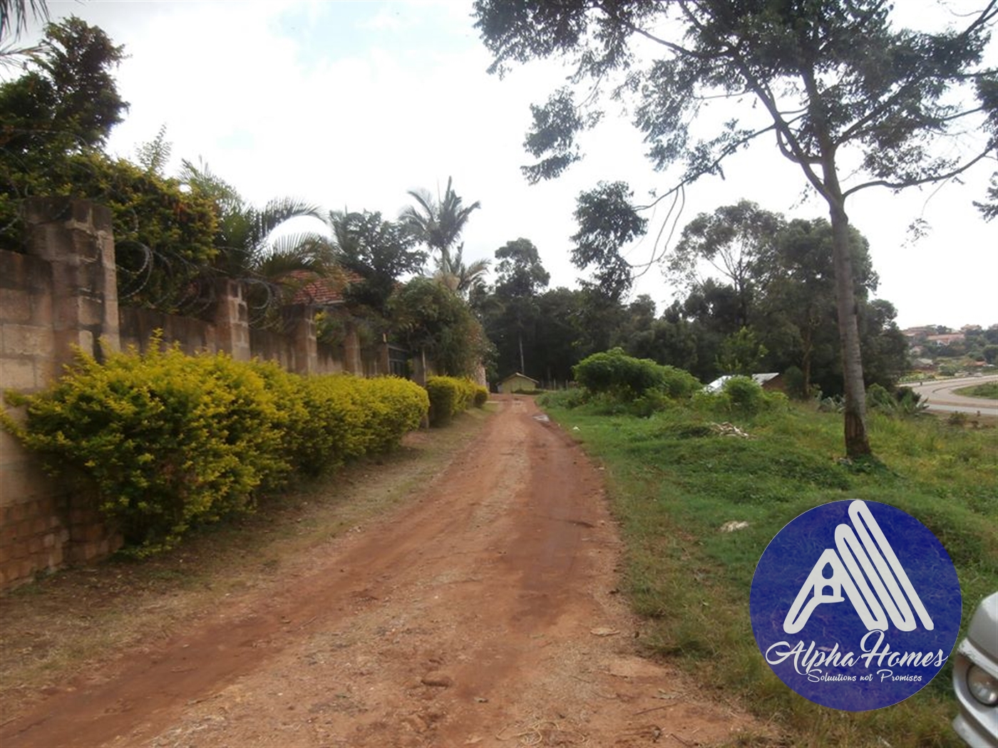 Agricultural Land for rent in Kireka Wakiso