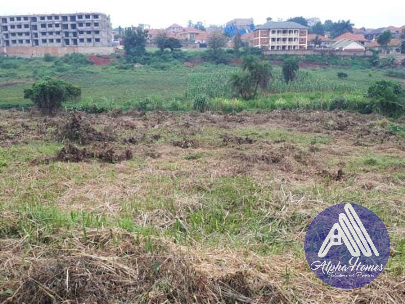 Agricultural Land for rent in Naalya Kampala