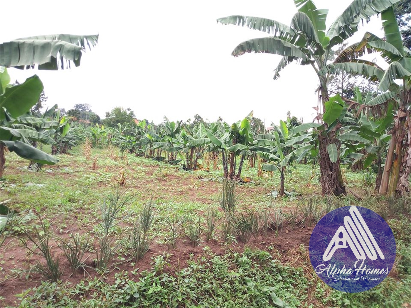 Residential Land for sale in Bweyogerere Wakiso