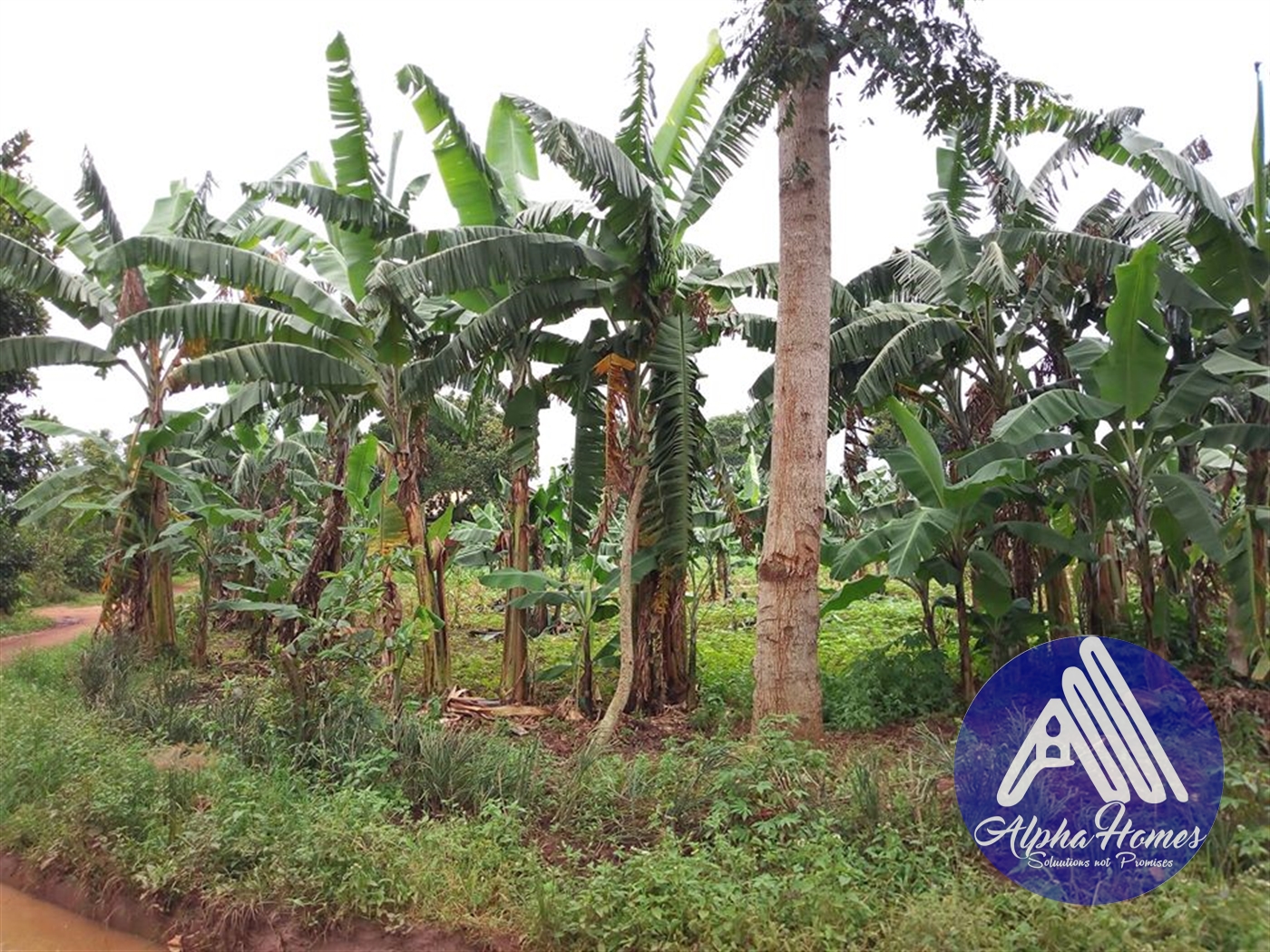 Residential Land for sale in Bweyogerere Wakiso