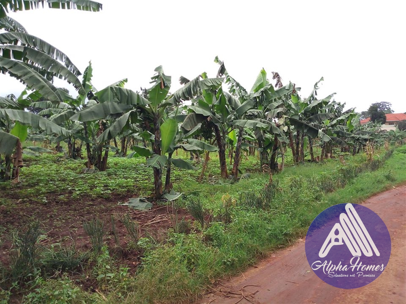 Residential Land for sale in Bweyogerere Wakiso