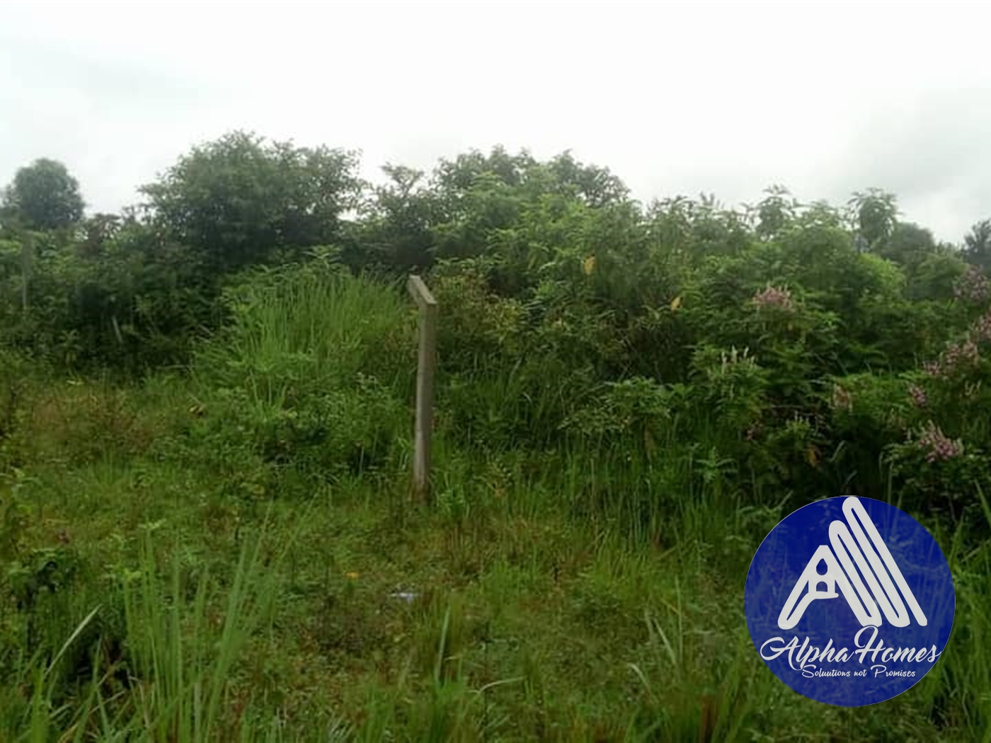 Residential Land for sale in Magere Wakiso