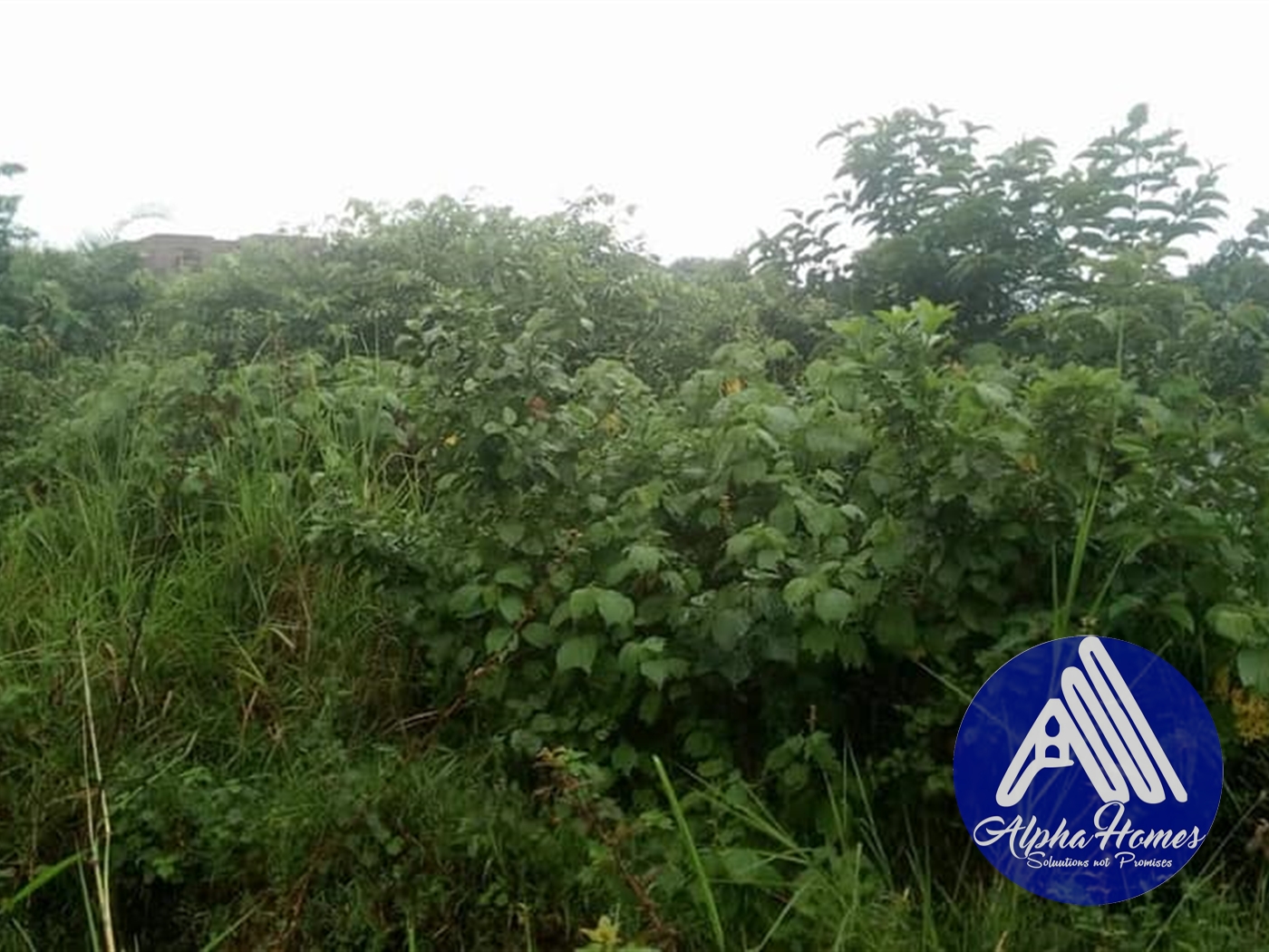 Residential Land for sale in Magere Wakiso