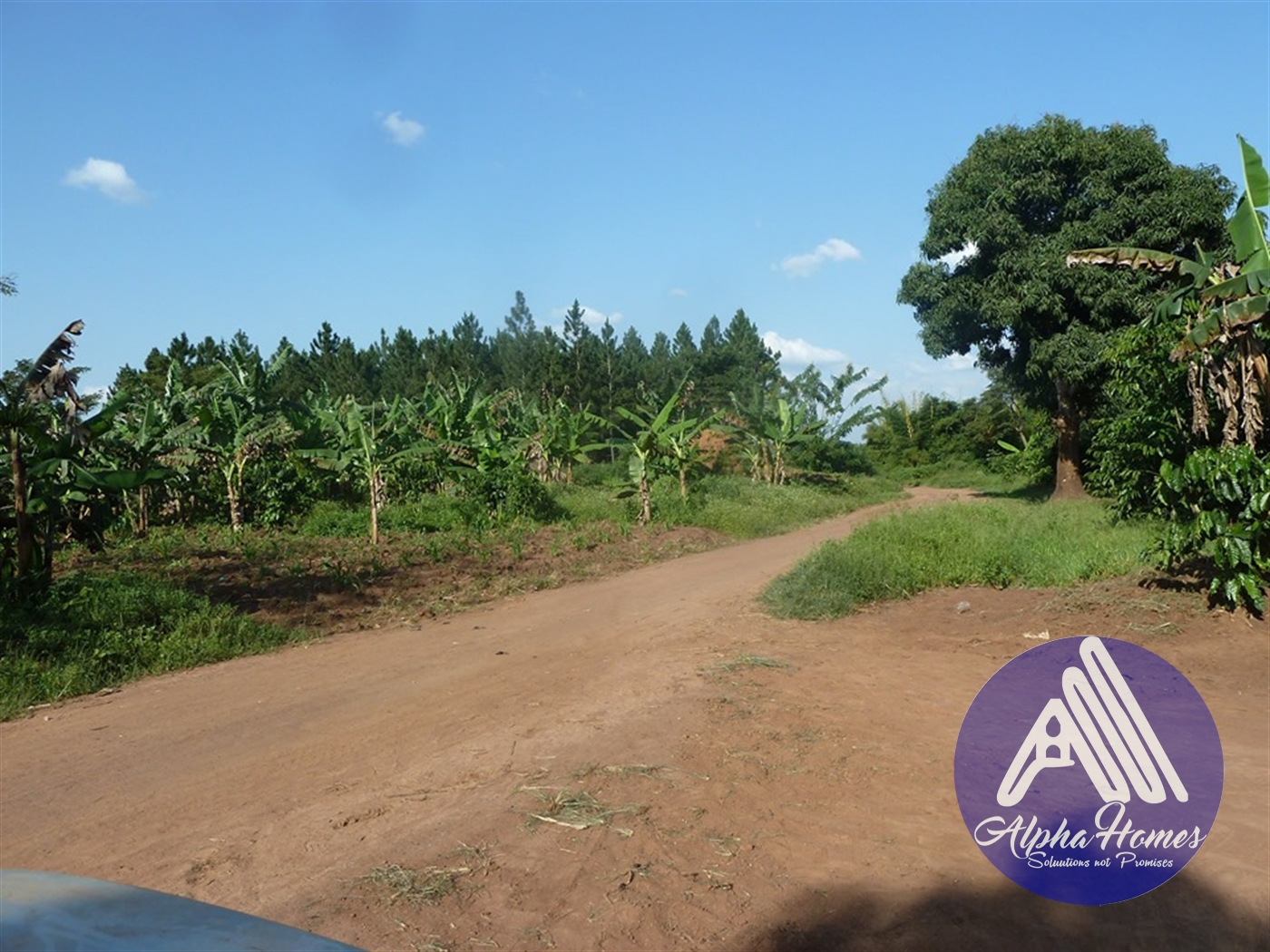 Residential Land for sale in Ziloobwe Wakiso